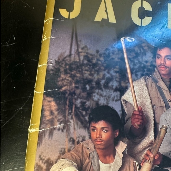 Michael Jackson Fan Commemorative Collection King of Pop Music History - Picture 11 of 13